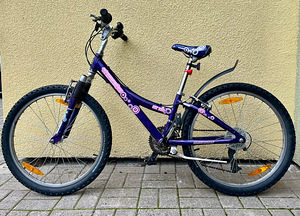 Jalgratas TREK 24