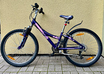 Jalgratas TREK 24