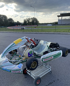 Rotax max гоночный карт (2 фото из 5)