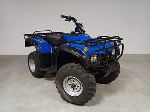 Квадроцикл 250cc (3 фото из 8)