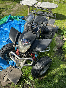 Квадроцикл 250cc (3 фото из 3)