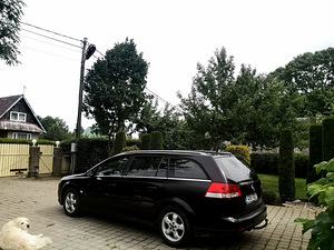 Opel Vectra C 1.9 CDTI 110kw автомат (1 фото из 11)