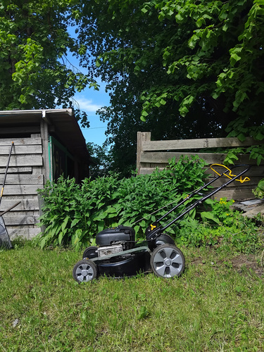Muruniiduk Briggs & Stratton mootoriga 650cc