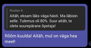 Eesti keele tunnid / Estonian lessons (1 foto / 10)