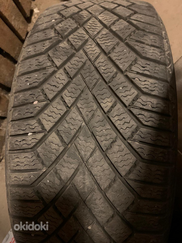 CONTINENTAL шипованные шины