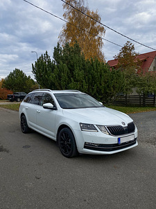 Škoda Octavia 2019 (1 foto / 10)