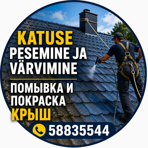 Помывка, покраска крыш