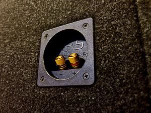 PIONEER 12" 1400W ja Võimendi. Hi-input. Uus (8 foto / 10)