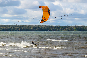 Lohe Eleveight xs 2023, 9m+ bar cs+ (2 foto / 2)