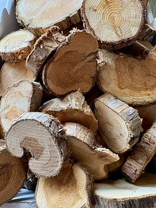 Диски из можжевельника (4 фото из 4)
