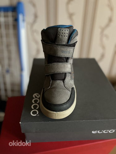 Зимние ботинки Ecco (фото #1)