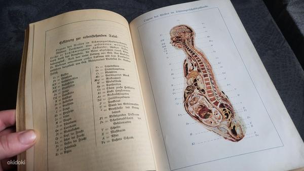 Saksakeelne tervise raamat 1890.a (foto #6)