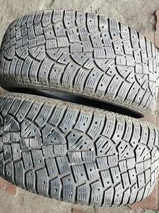 Rehvid 225 55 r17 manner (5 foto / 5)
