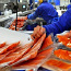 Krevettide ja kalatoodete tehas Šotimaal (foto #1)