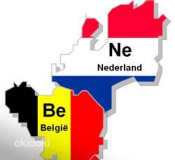 Работы в Нидерландах и Бельгии. Фабрики.Cклады,Tеплицы (фото #1)
