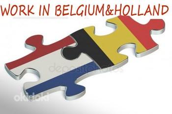 Работы в Нидерландах и Бельгии. Фабрики, Склады, Теплицы. (фото #1)