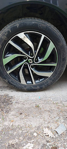Müüa Renault Koleos (4 foto / 15)