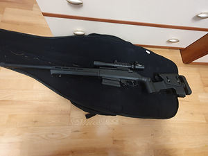 Ares Amoeba Striker AST01(Tunned)