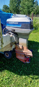 Paatimootor EVINRUDE 30 (2 foto / 2)