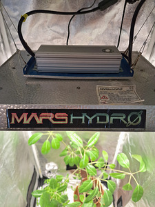 Kasvatuskast (Grow Box) (2 foto / 10)