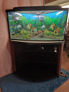 Akvaarium 120l koos kapiga (3 foto / 3)