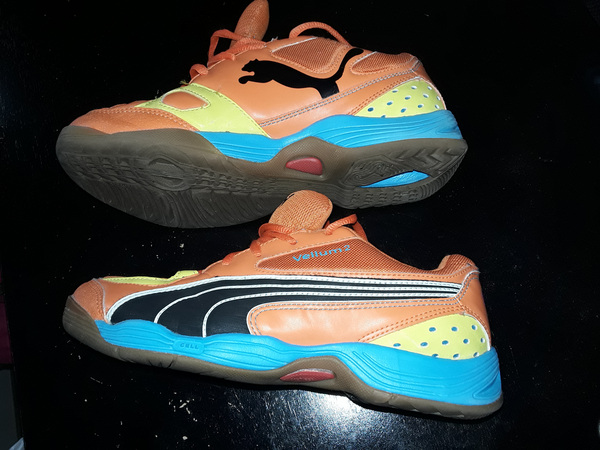 Tossud Puma