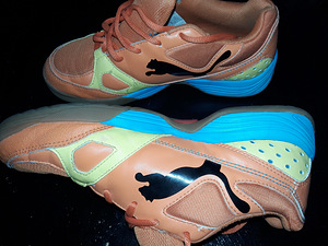Tossud Puma (2 foto / 4)