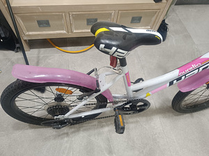 Aurelia sport 420 (3 foto / 6)