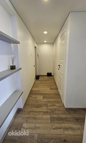 Üürile anda kaasaegne 2 magamistoaga korter (foto #1)