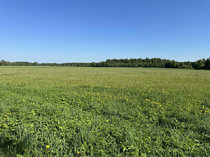 LOODUSKAUNIS KRUNT TARTUST 11KM KAUGUSEL (1 foto / 3)