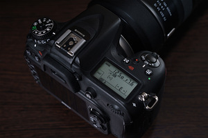 Nikon D7100 - Tamron SP 150-600mm F/5-6.3 Di VC USD G2 (8 foto / 10)