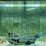 Akvaarium Juwel 120 L. (foto #1)