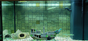 Akvaarium JUWEL 125L. (3 foto / 6)