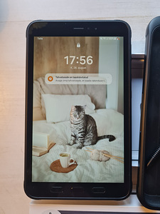 Samsung Tab Active 3 LTE, 4/64 ГБ (1 фото из 5)