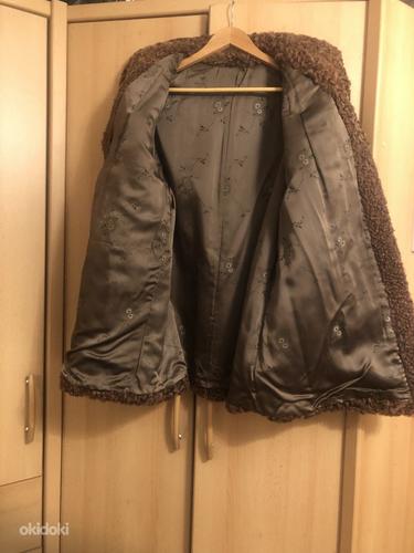 Karakul short coat / Karakul poolkasukas (foto #2)