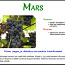 Виноград марс виноград (фото #1)
