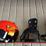 Uvex 500 зимний спортивный шлем (фото #3)