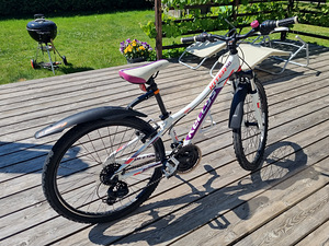 Ratas Kellys Kiter 50 valge 24" (3 foto / 3)