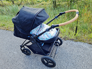 Bumbleride era (5 foto / 10)