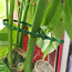 Taaskasutatavad plastikust taimede sidumise klambrid 17 cm (foto #1)