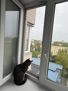Сетка от насекомых (1 фото из 2)
