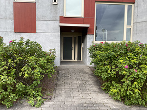 Vabaõhumuuseumi tee 4c, Haabersti, Tallinn, Harjumaa (5 foto / 42)