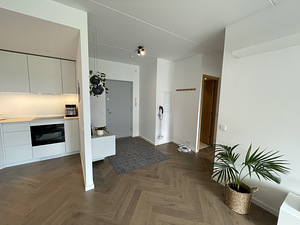 Vabaõhumuuseumi tee 4c, Haabersti, Tallinn, Harjumaa (27 foto / 42)