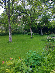 Vana-Aespa, Kohila vald, Raplamaa (7 foto / 11)