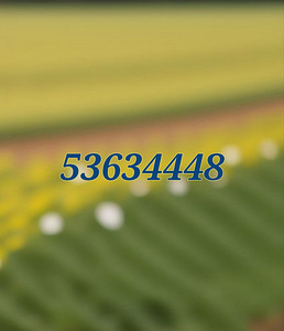 Telefoninumber 3 tk. (2 фото из 3)