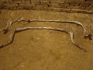 Mercedes S124, 2,5 D vedrude komplekt (3 foto / 10)