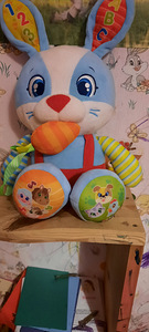 Поющий кролик (2 фото из 2)