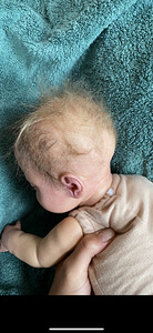 Reborn nukk (7 foto / 9)
