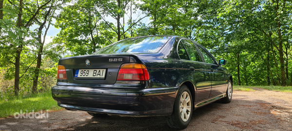 BMW 525 (фото #6)