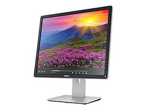 Dell Professional P1914S (1 фото из 3)